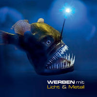 Cover: "Werben mit Licht & Metall"
